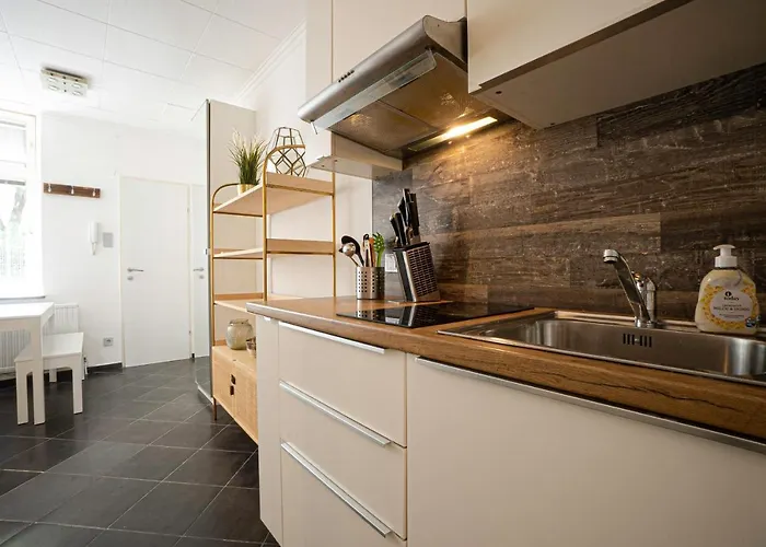 Apartamento 2-room On The First Floor With Designer Renovation. Exit To The Courtyard. 15 Minutes To Schloss Schoenbrunn
